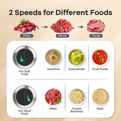 Ganiza Food Processors with 2 Bowls, 450W Meat Grinder Vegetable Chopper